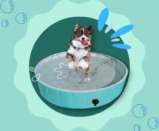 Let Your Pets Cool Off In This Collapsible Play Pool All Summer Long