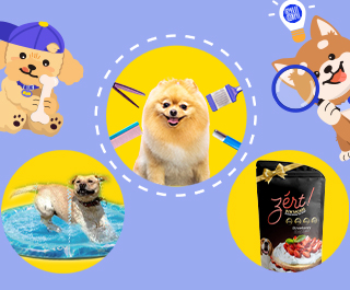 For The Very Good Doggo: Fun And Yummy Finds To Spoil And Treat Your Beloved Furbabies