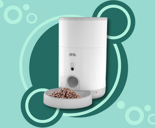 Got A Busy Schedule? Snag This Automated Dispenser To Feed Your Pet On Time