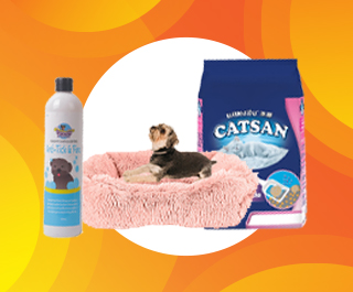 A Fur-Parent's Starter Kit: Everything You Need For Your New Furry Friend